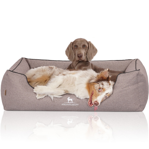 Knuffelwuff Orthopädisches Hundebett Wippo aus Velours mit Handwebcharakter XL 105 x 75cm Grau