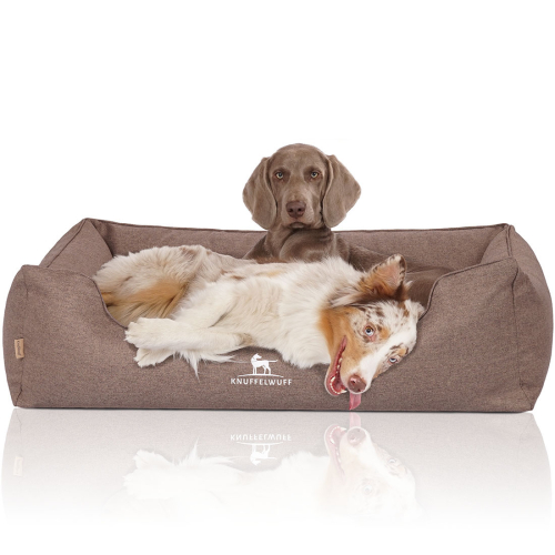 Knuffelwuff Orthopädisches Hundebett Wippo aus Velours mit Handwebcharakter XL 105 x 75cm Potatoe