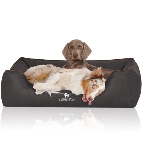 Knuffelwuff Orthopädisches Hundebett Rockland aus Kunstleder XL 105 x 75cm Schwarz