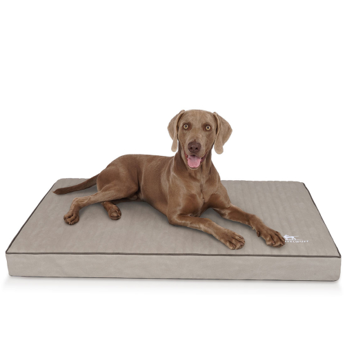 Knuffelwuff orthopädische Hundematte Palomino aus laser-gestepptem Kunstleder L 80 x 60cm Grau
