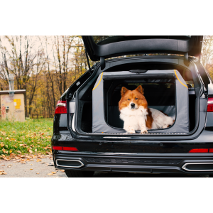 Knuffelwuff faltbare Hundebox Auto Transportbox Alverstone mit Alumin,  68,95 €
